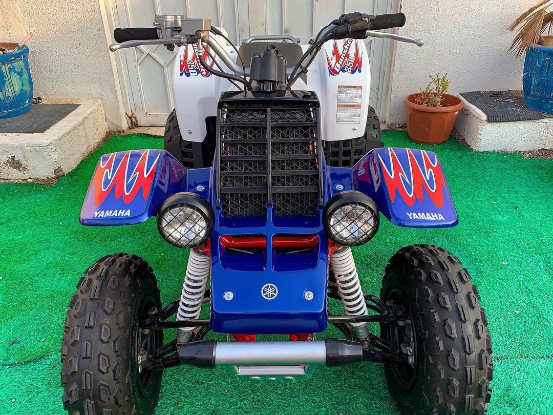 Buy Yamaha Banshee 2010